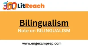 Bilingualism-english-literature.webp